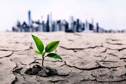 کم‌آبی، کشاورزی آذربایجان غربی را تهدید می‌کند