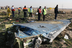 VIDEO: Scattering flowers on site of downed Ukrainian plane