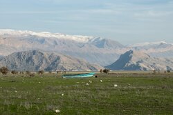 تدوین برنامه مدیریت جامع برای ۳۸ تالاب کشور/ معیشت دغدغه جوامع محلی پریشان
