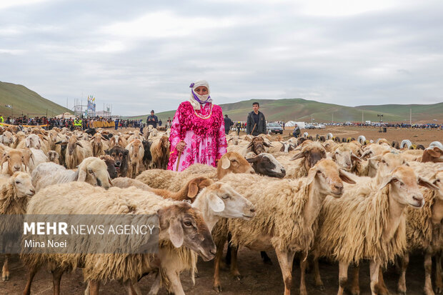 بیست و هفتمین جشنواره فرهنگی ورزشی عشایر استان آذربایجان شرقی