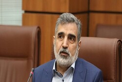 Iran not to give in to Western pressures: nuclear official