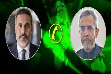 Iran urges Islamic states to seize capacities to support Gaza