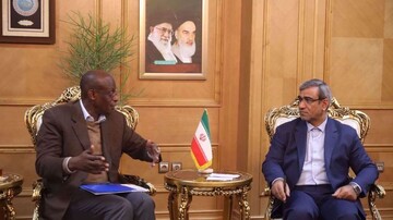 Iran should be introduced as role model in hosting refugees