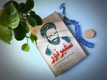 Safeer-e Noor: Book on Pakistan's Syed Arif al Hussaini