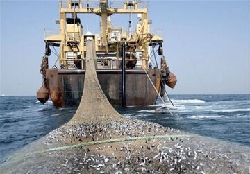 مجوز صید ترال برای ۲۱ کشتی در آب‌های بوشهر؛ معیشت صیادان در خطر است