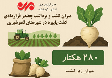 اینفوگرافیک| میزان کشت چغندر قراردادی در شهرستان قصرشیرین