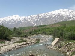 پادنا در چنگال بی‌تفاوتی؛ ماندگان قفل شد، مصوبه محیط‌زیست خاک می‌خورد