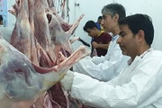 نظارت  بهداشتی و شرعی ۲ اکیپ دامپزشکی کنگان در روز عید قربان